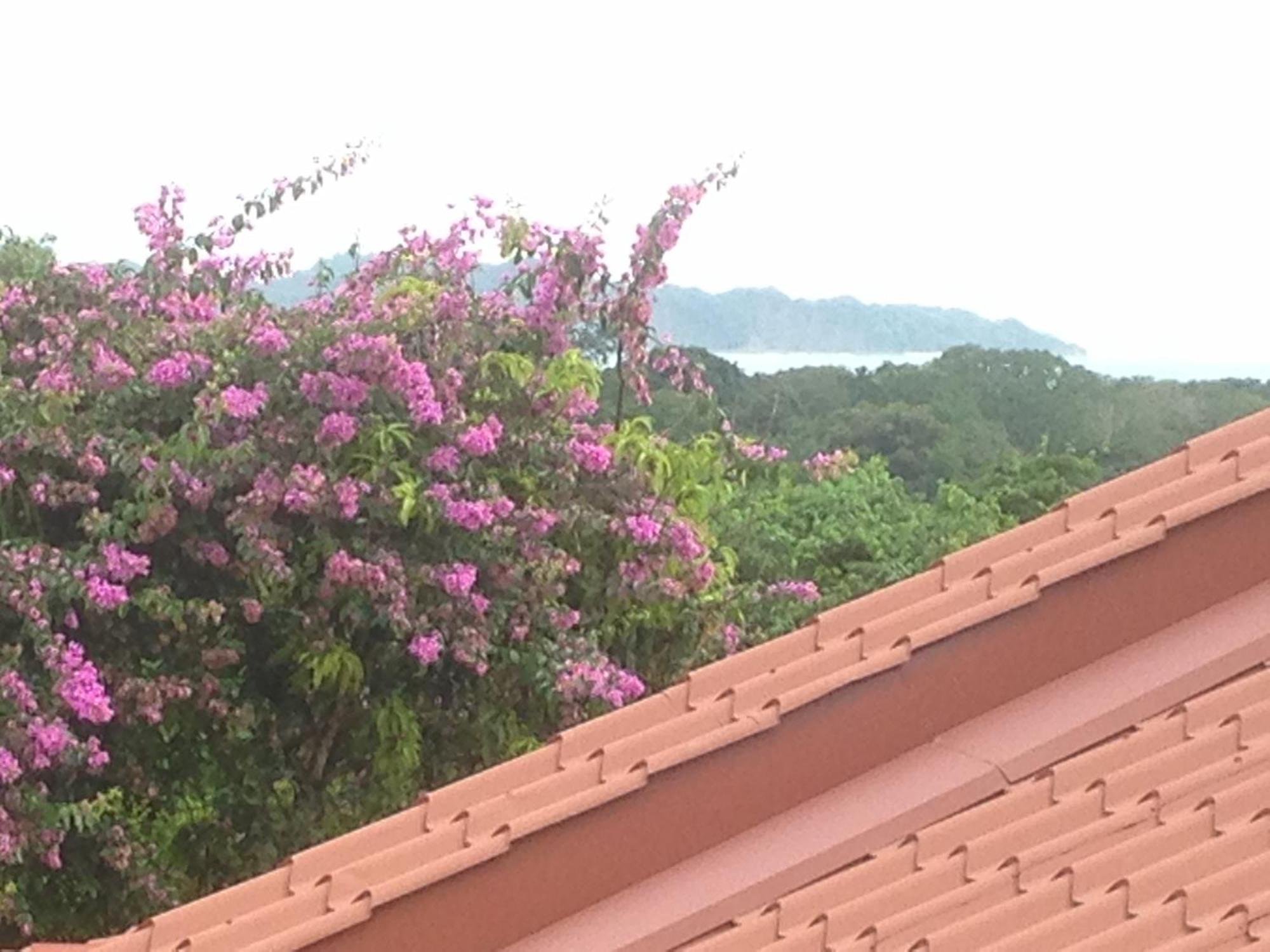 Mango Bed & Breakfast Nosara